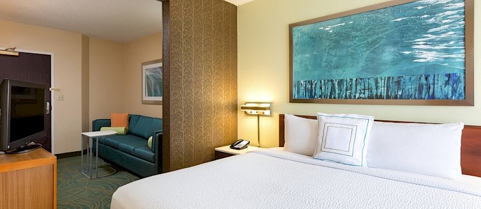 SpringHill Suites Austin South